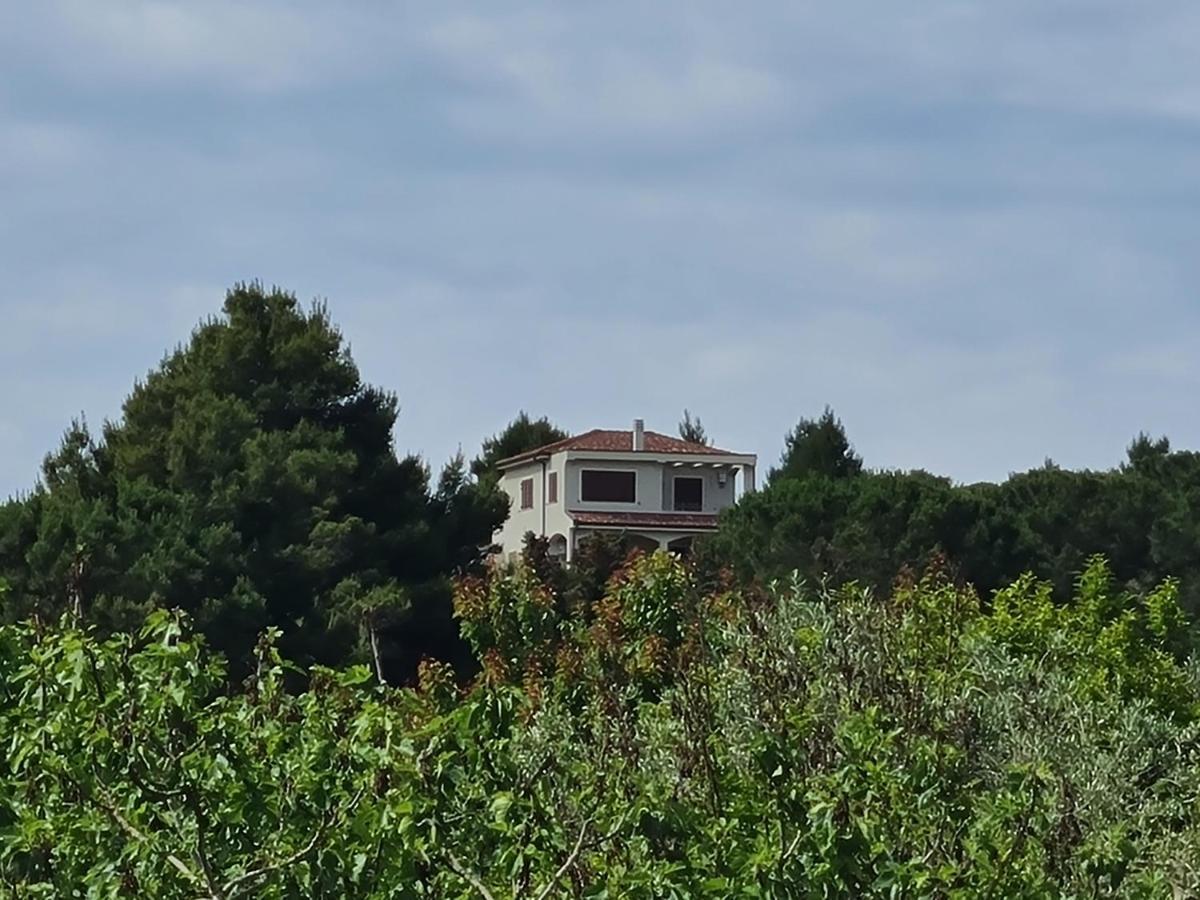 - House With Panoramic View Immersed In Full Nature Vakantiehuis Alghero